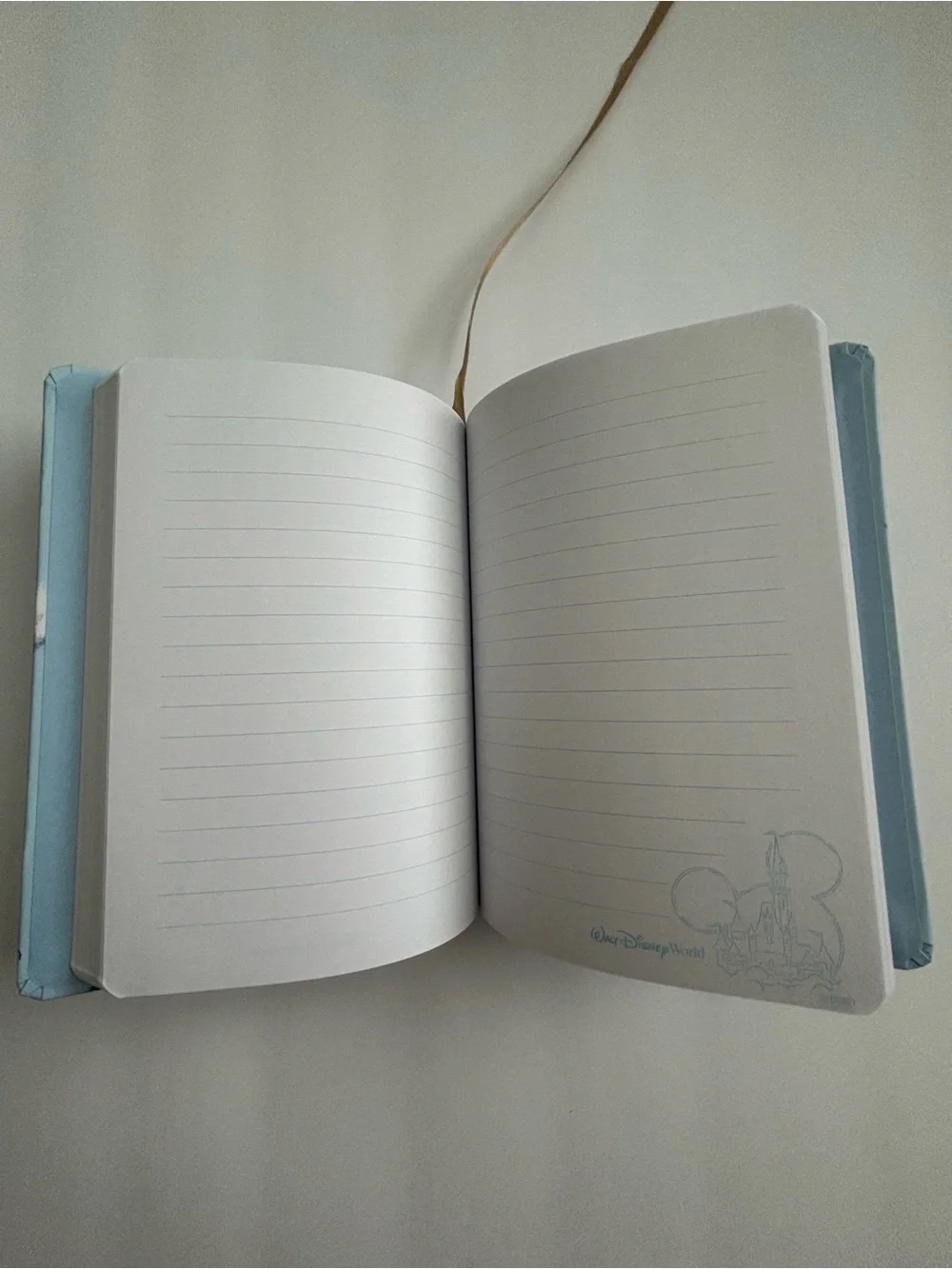 Walt Disney World Cinderella Castle Journal Notebook Lined Pages New